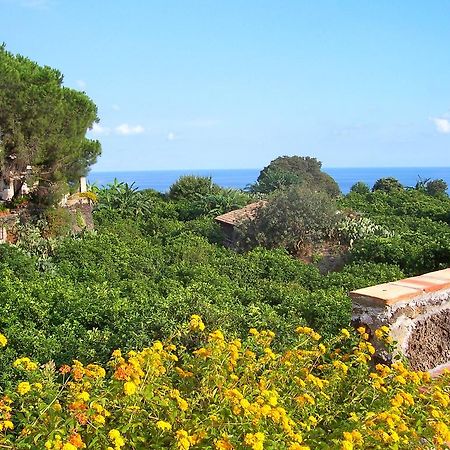 Villa Il Limoneto Acireale Exterior foto