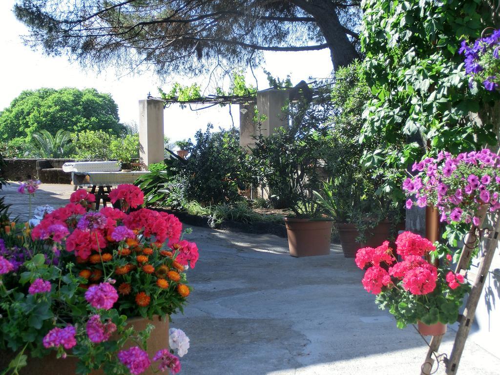 Villa Il Limoneto Acireale Exterior foto