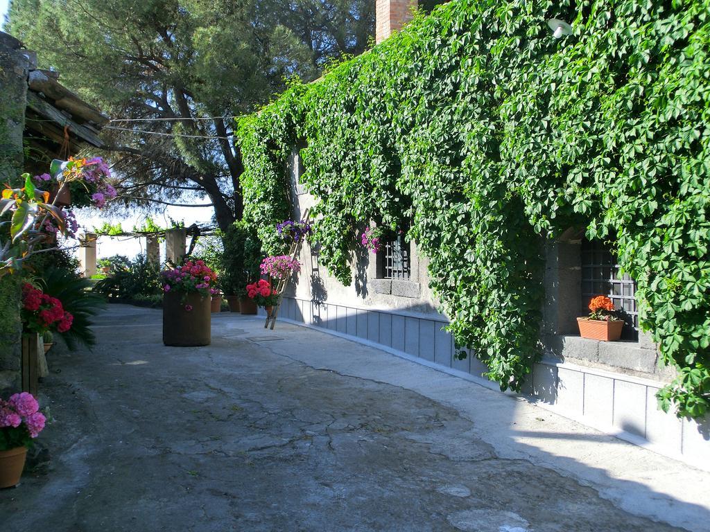 Villa Il Limoneto Acireale Exterior foto