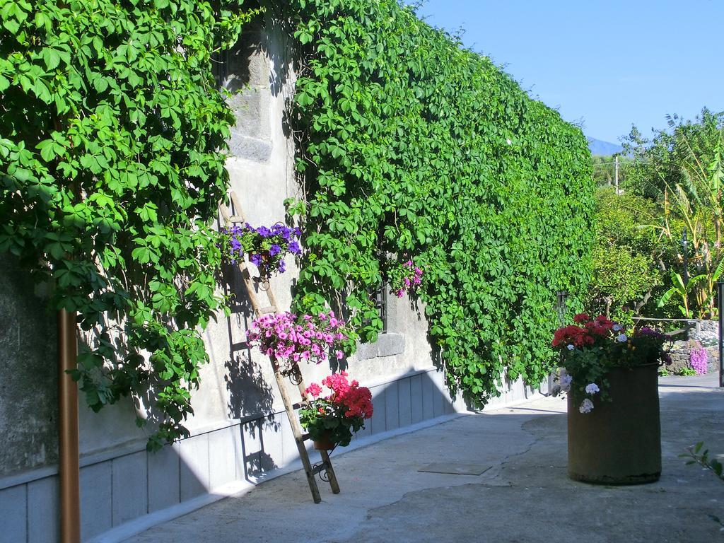 Villa Il Limoneto Acireale Exterior foto